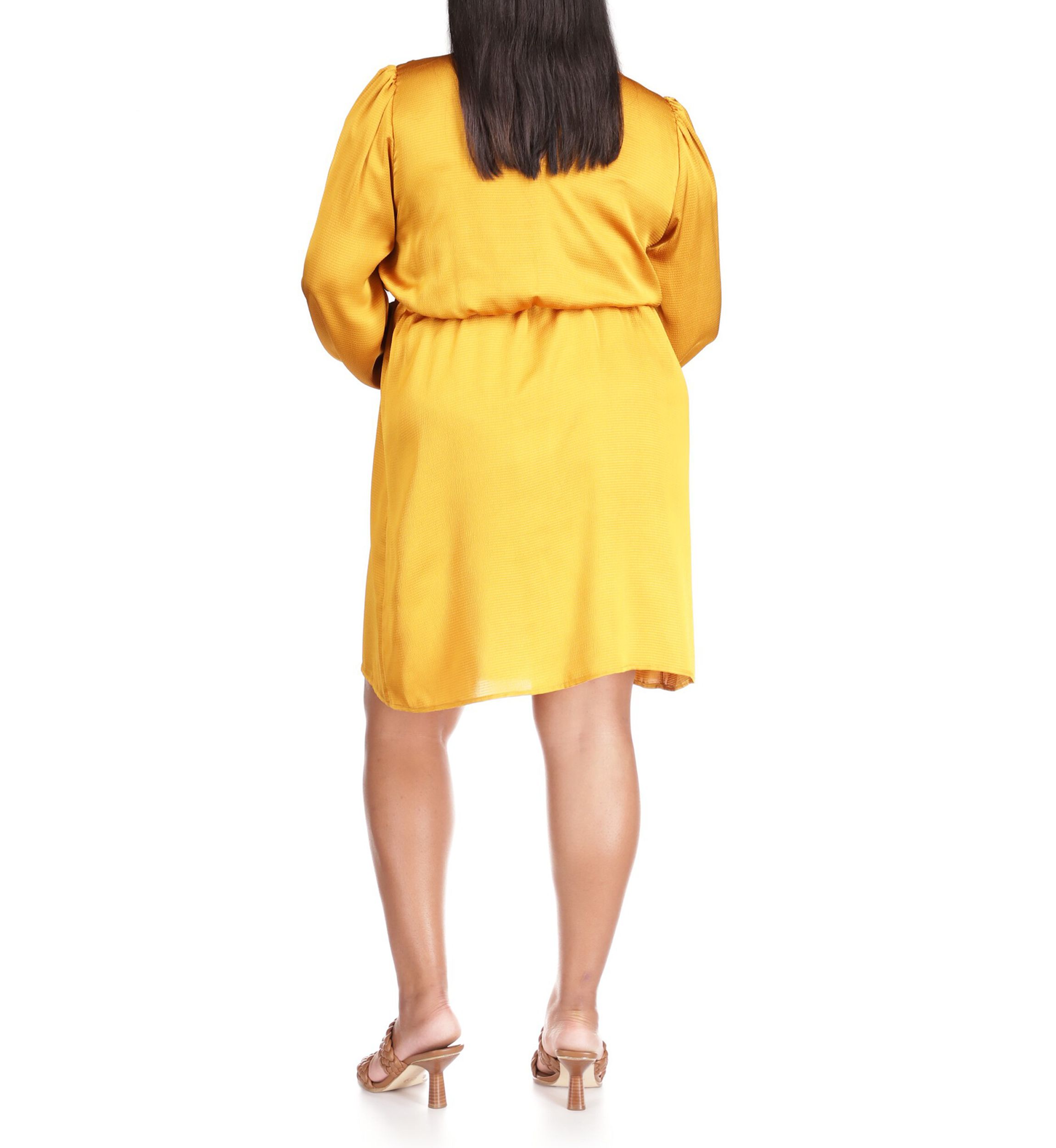 Plus Size Long Sleeve Satin Flounce Dress