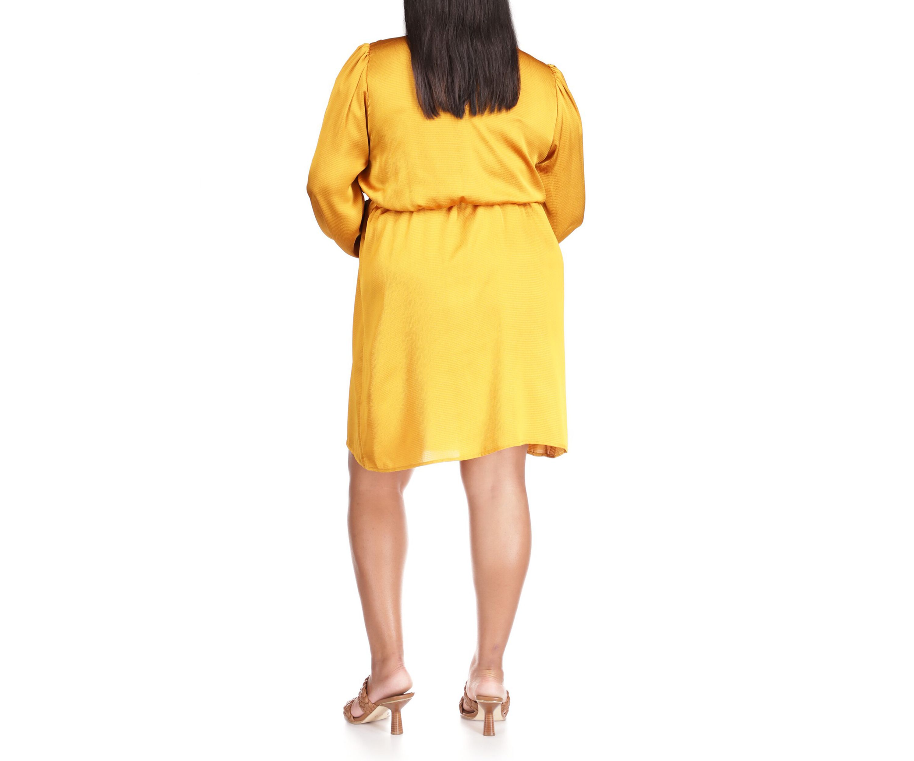Plus Size Long Sleeve Satin Flounce Dress