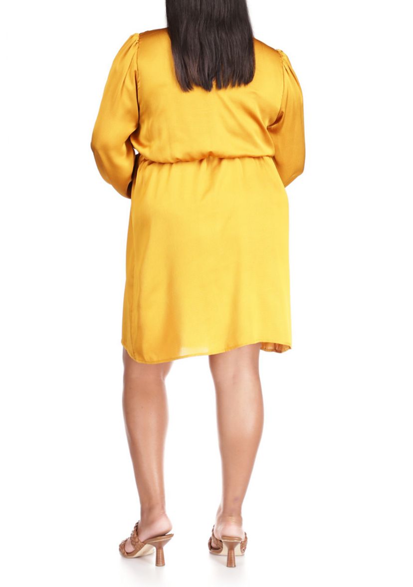 Plus Size Long Sleeve Satin Flounce Dress