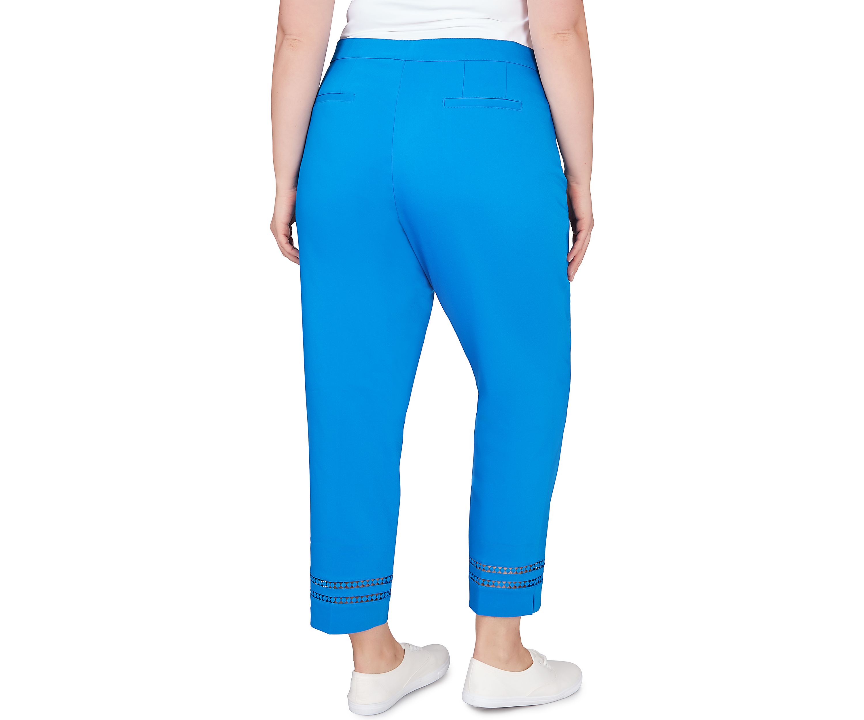 Plus Size Embroidered Blooms Ankle Pants