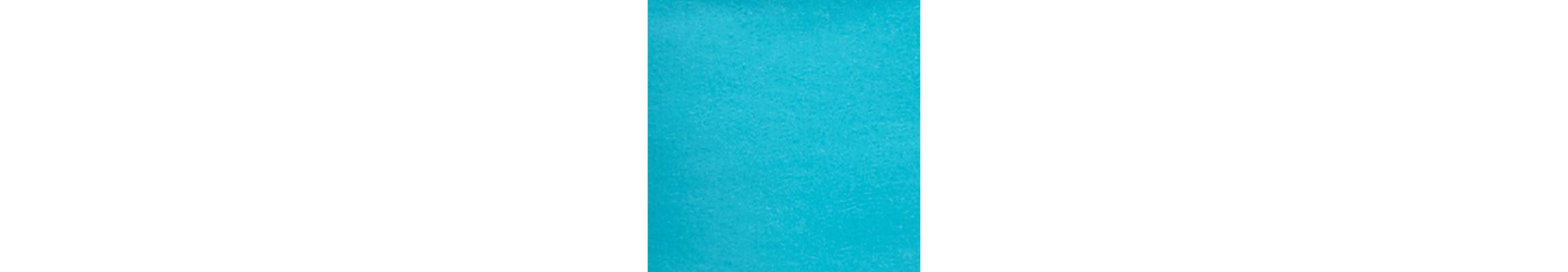 Petite Comfort Stretch Dyed Denim Jeans
