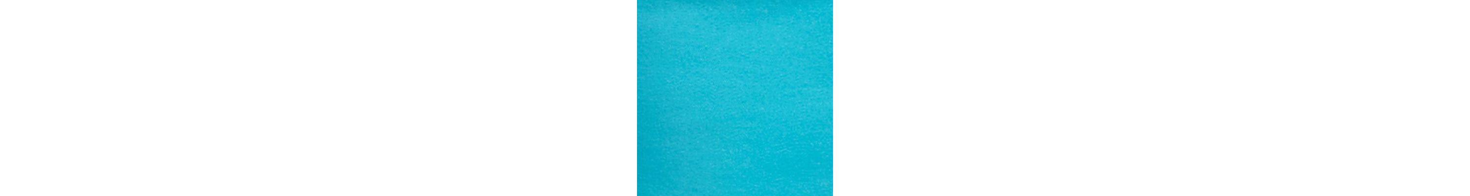 Petite Comfort Stretch Dyed Denim Jeans