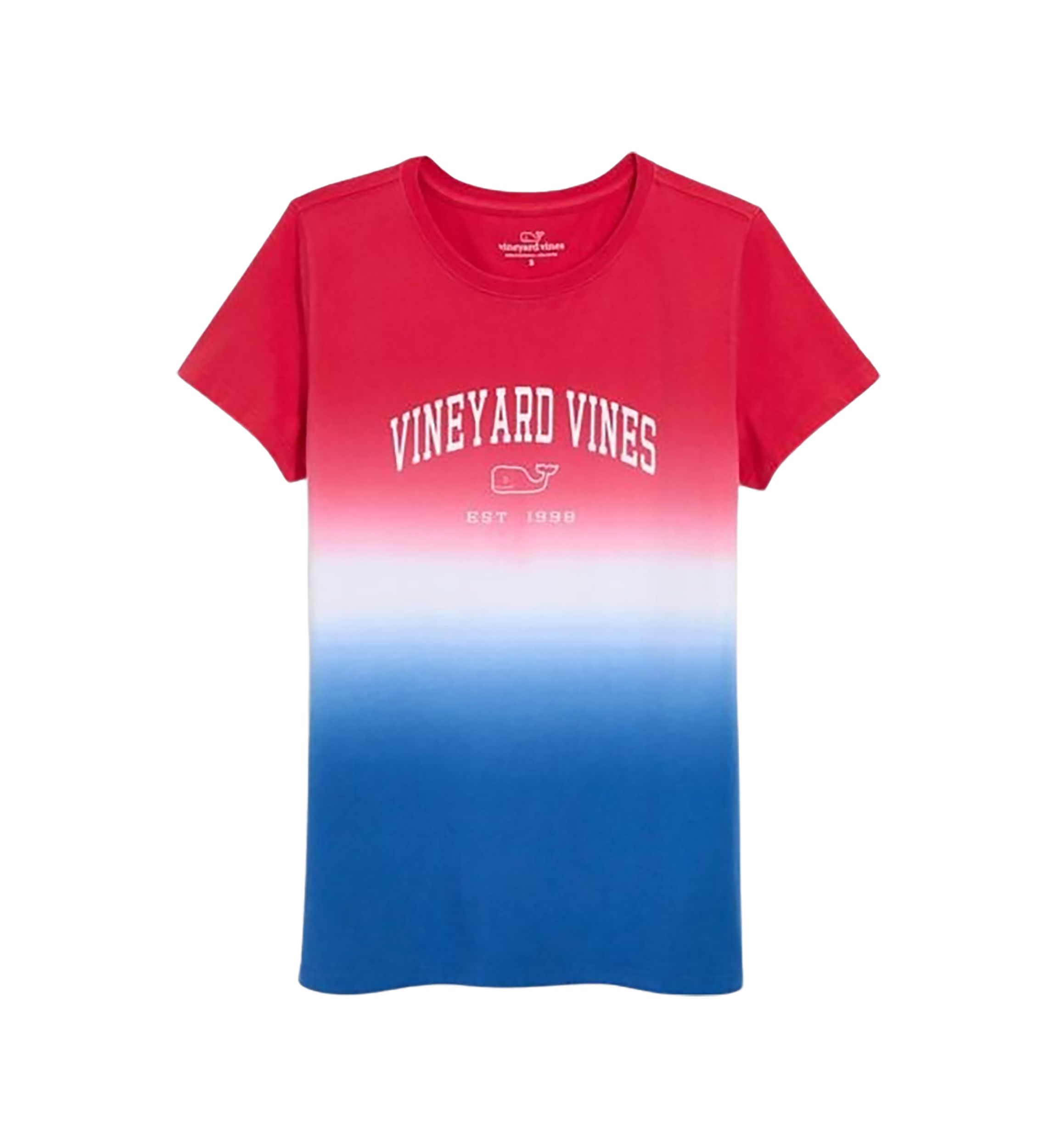 Womens Ombré Archo Logo T-Shirt