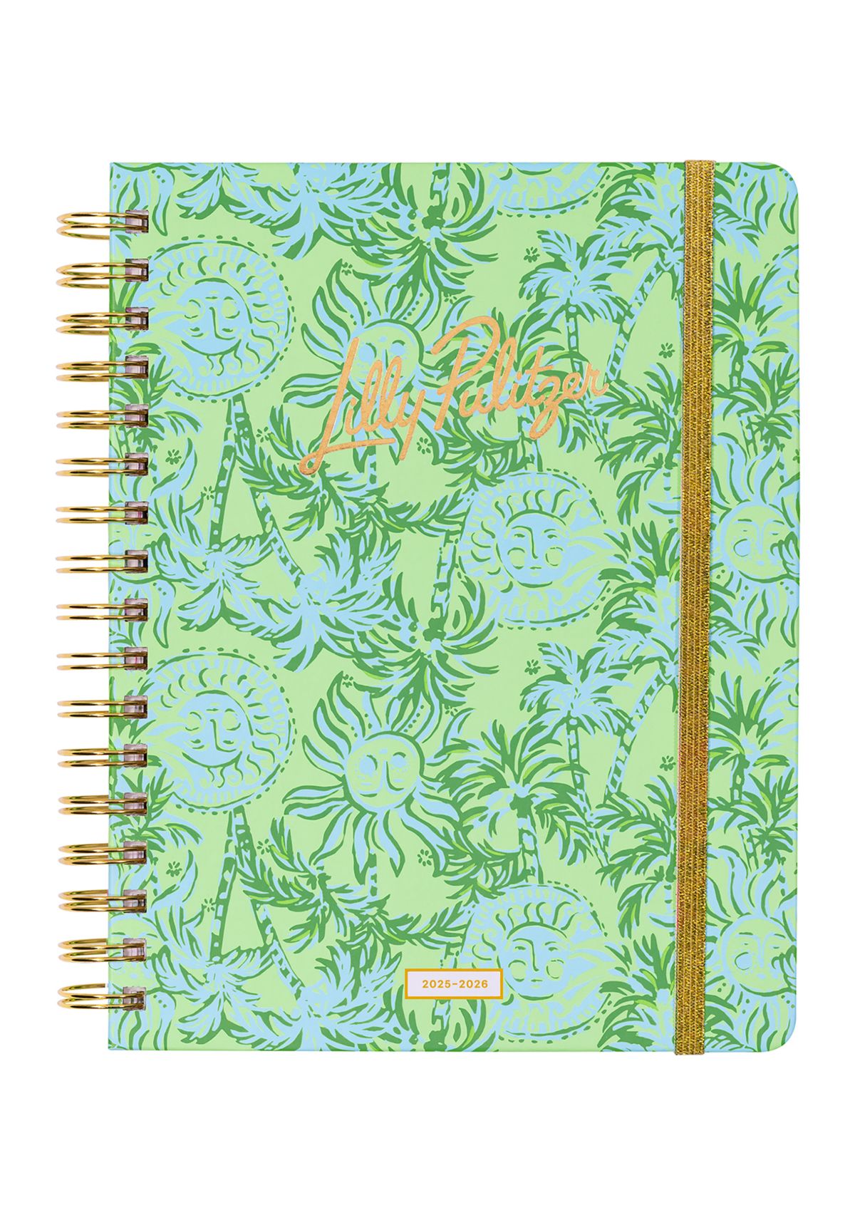 Large 17 Month Agenda, Catchin Rays