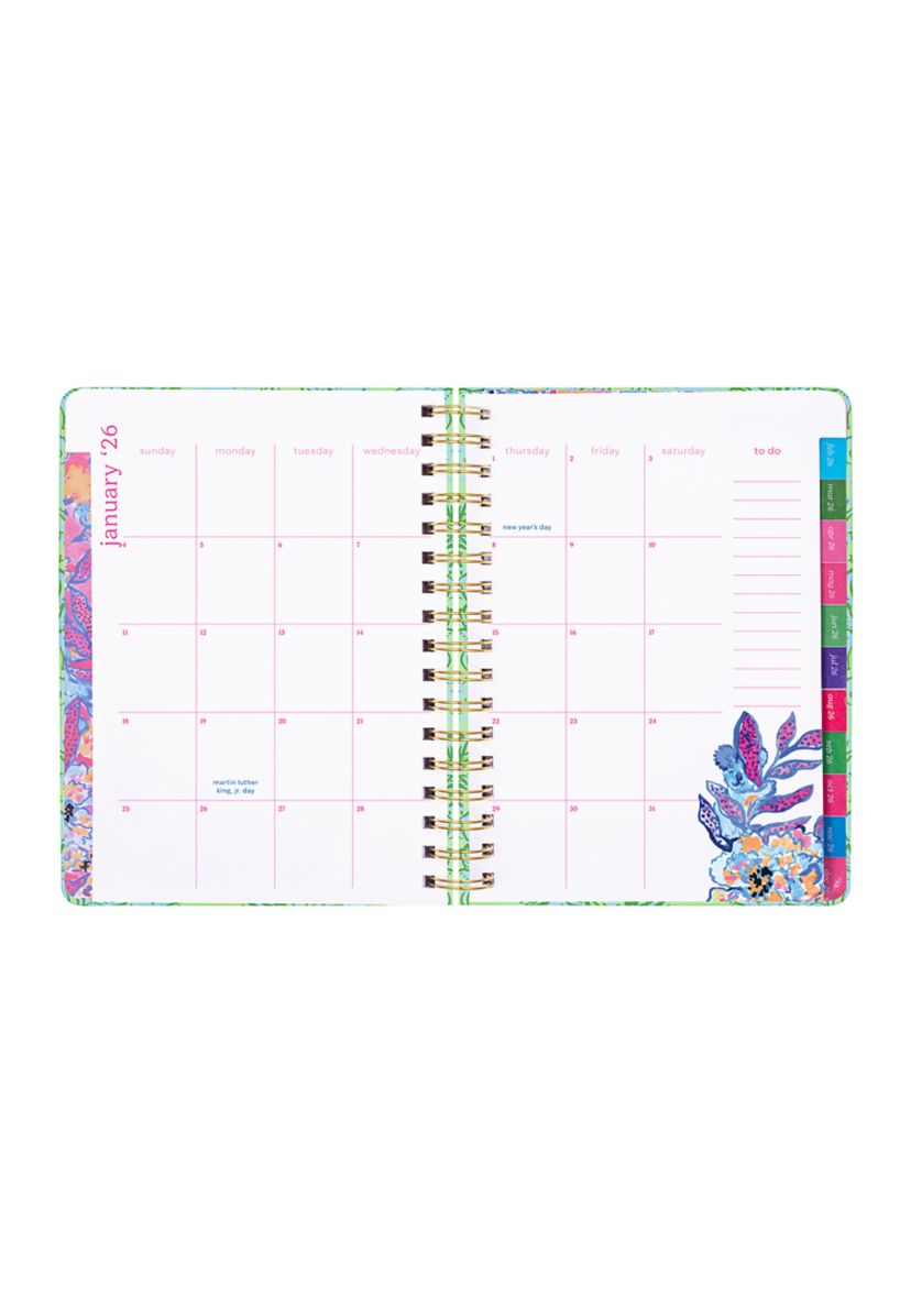 Large 17 Month Agenda, Catchin Rays