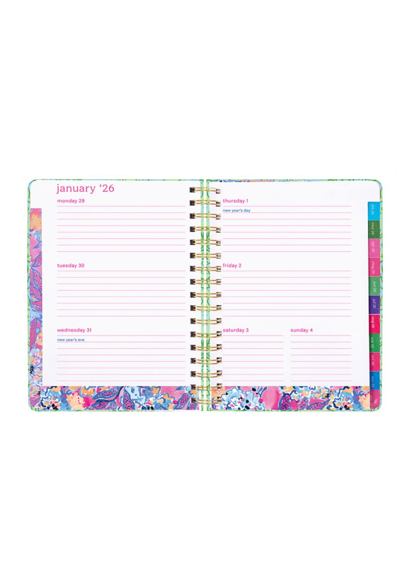 Large 17 Month Agenda, Catchin Rays