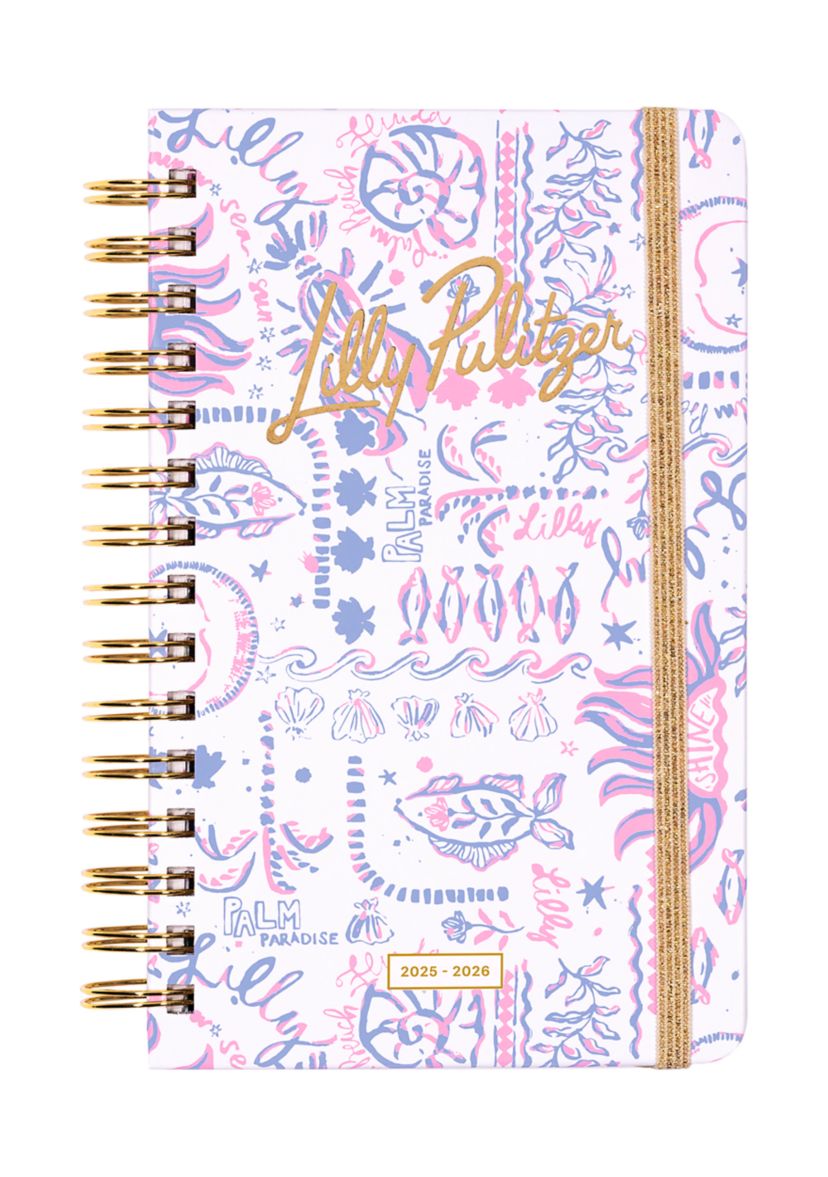 Medium 17 Month Agenda, Tis the Sea Sun