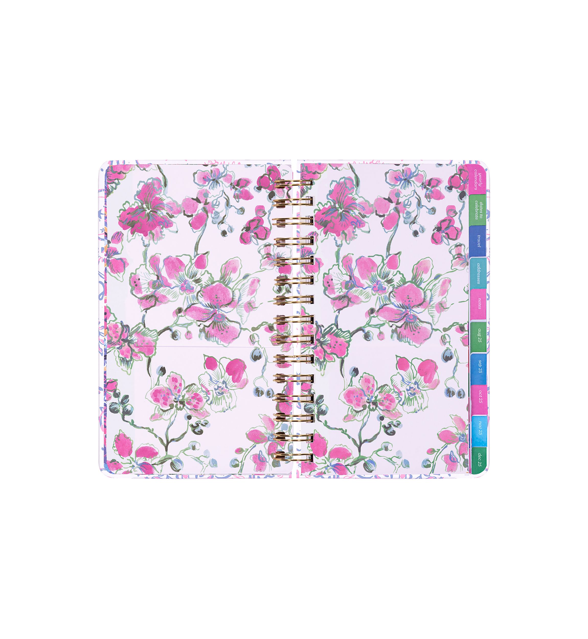 Medium 17 Month Agenda, Tis the Sea Sun