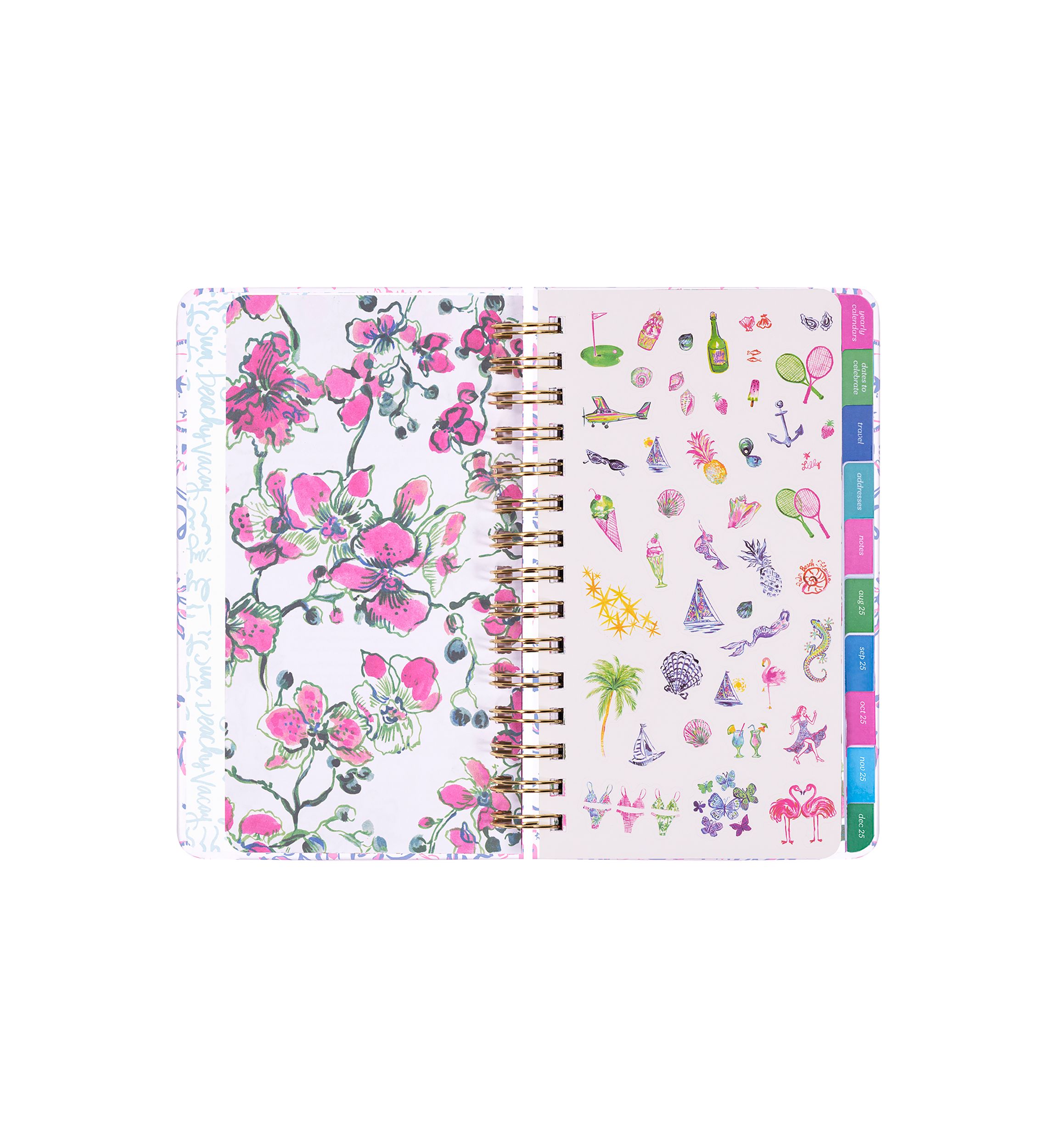 Medium 17 Month Agenda, Tis the Sea Sun