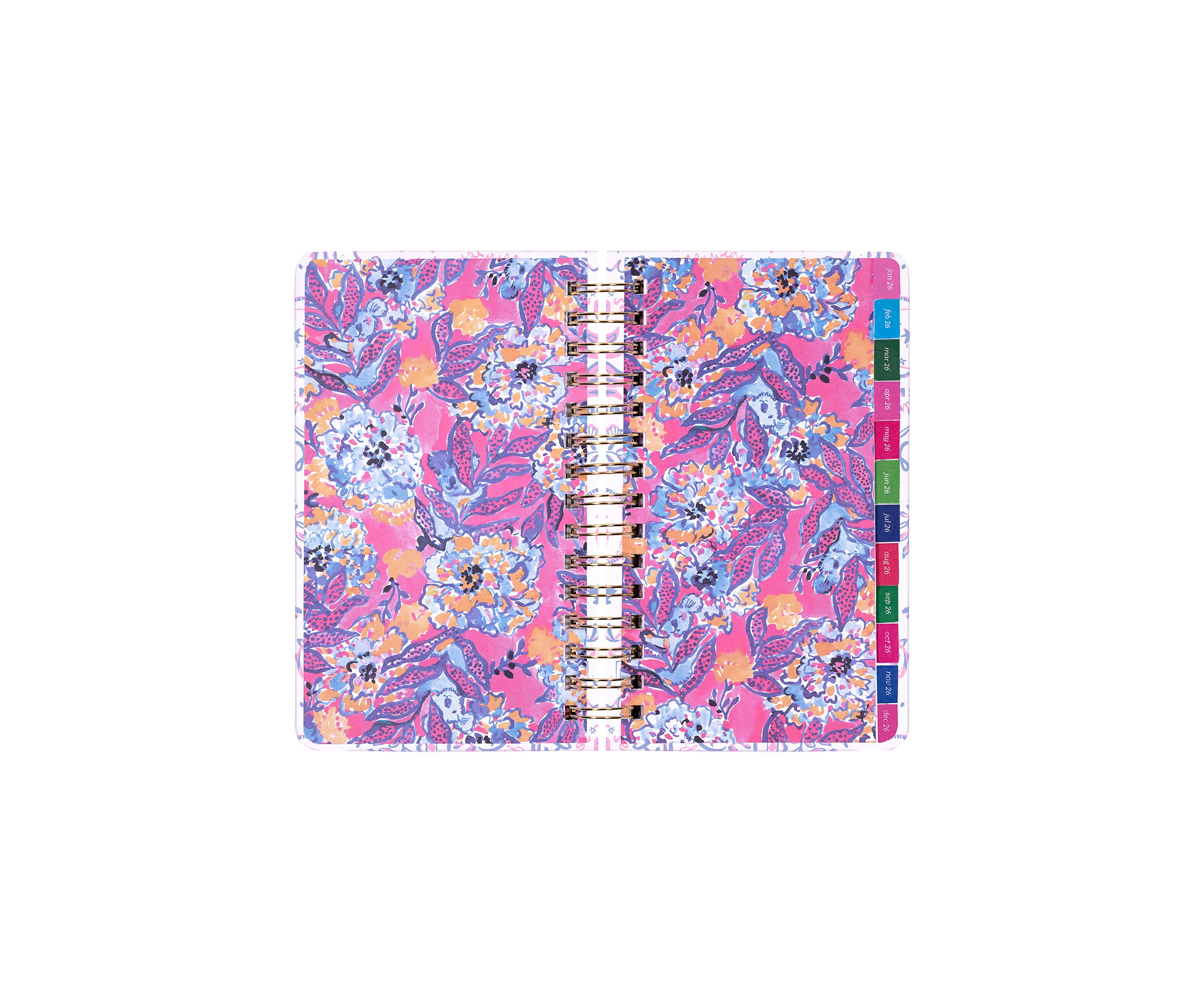 Medium 17 Month Agenda, Tis the Sea Sun