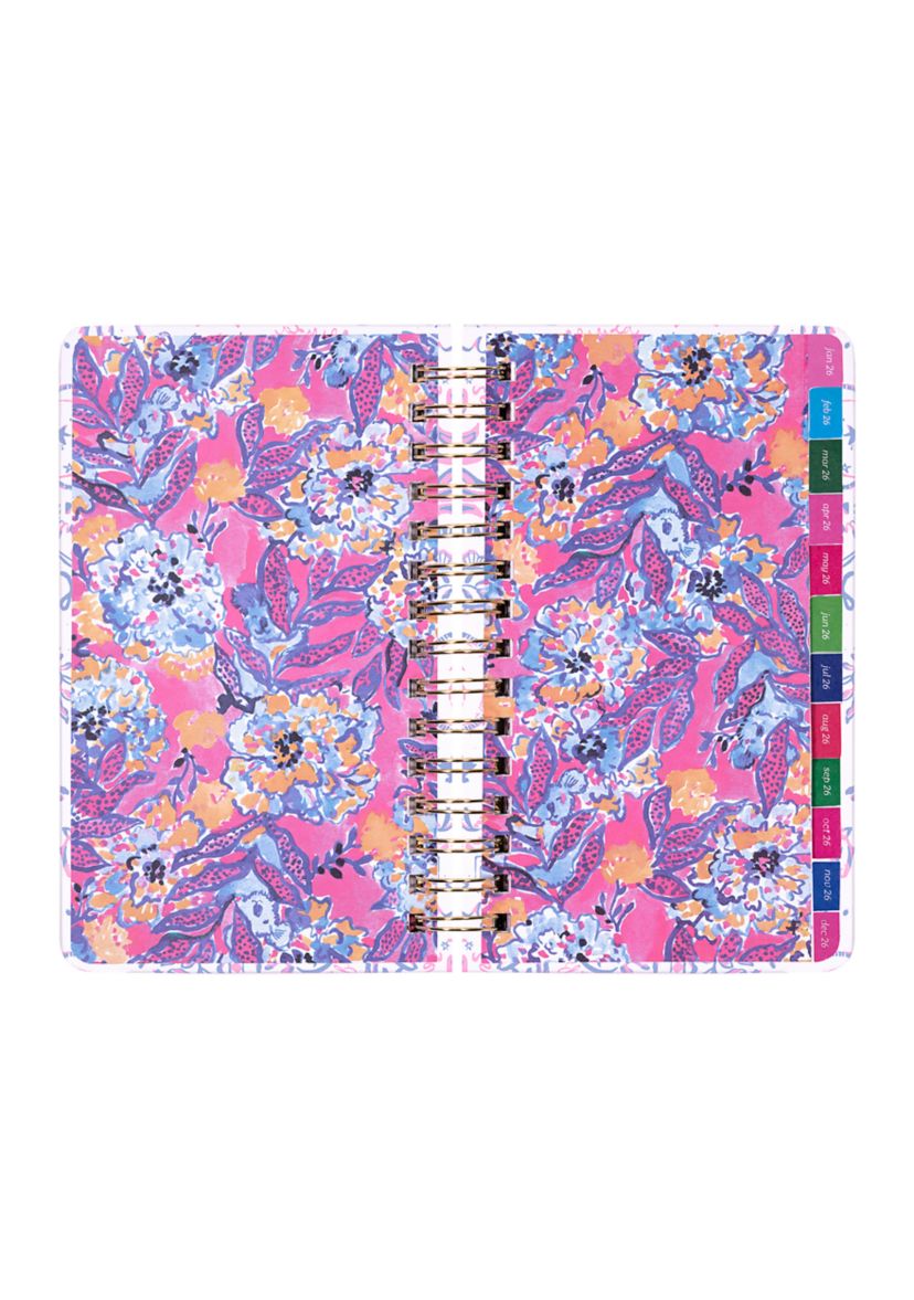 Medium 17 Month Agenda, Tis the Sea Sun