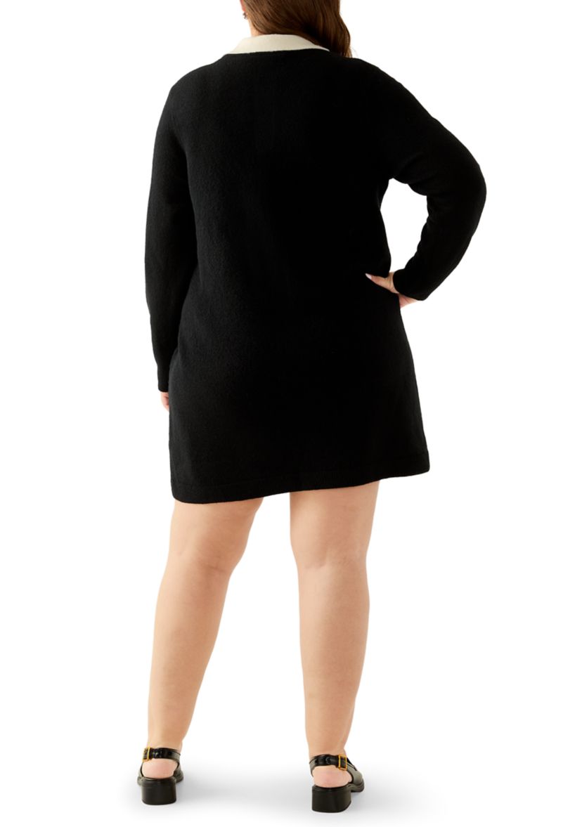 Plus Size Sweater Dress with Collar