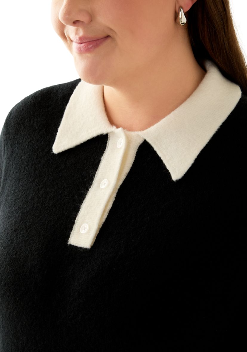 Plus Size Sweater Dress with Collar