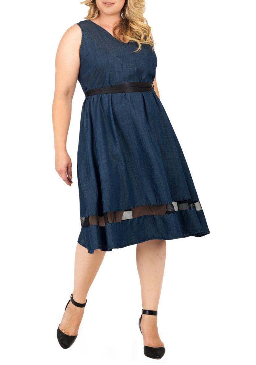 Plus Size Julia V Neck A-Line Dress