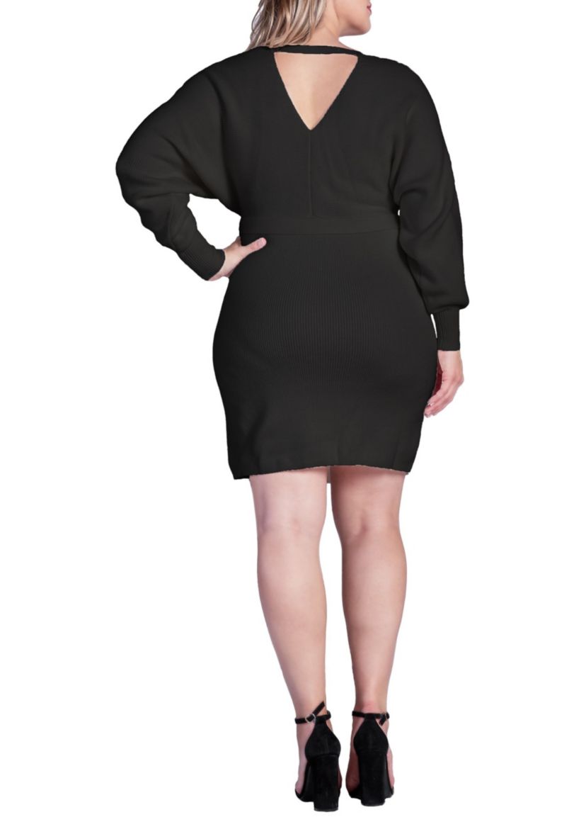 Women V-back Full Sleeve Sweater Knit MINI Dress