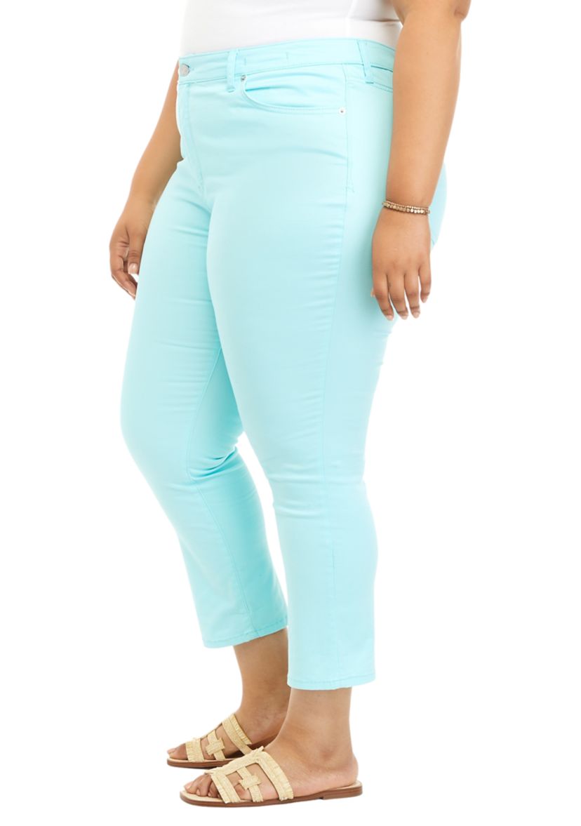 Plus Size High Rise Skinny Crop Jeans 