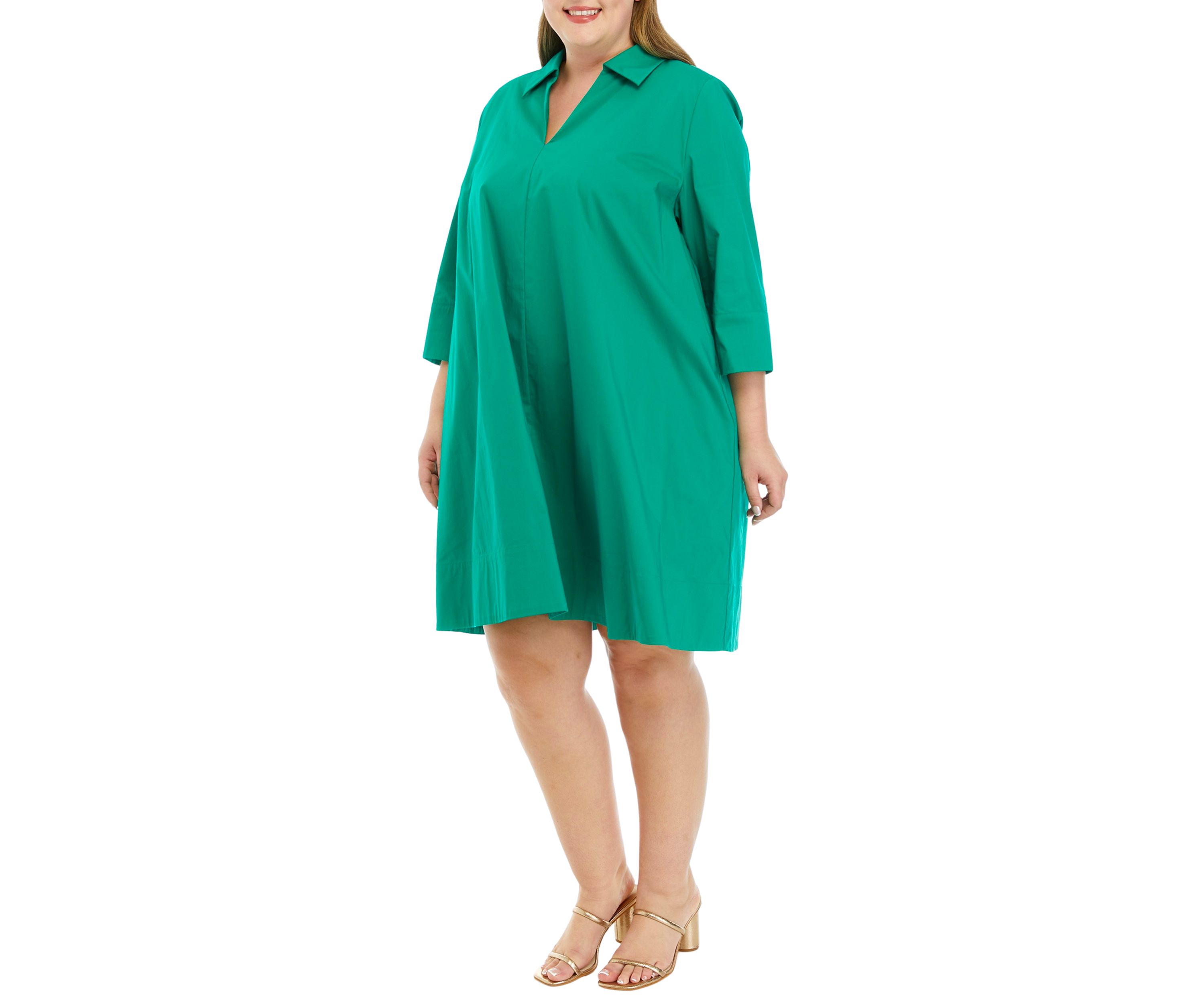 Plus Size A-Line Kaftan Collar Dress