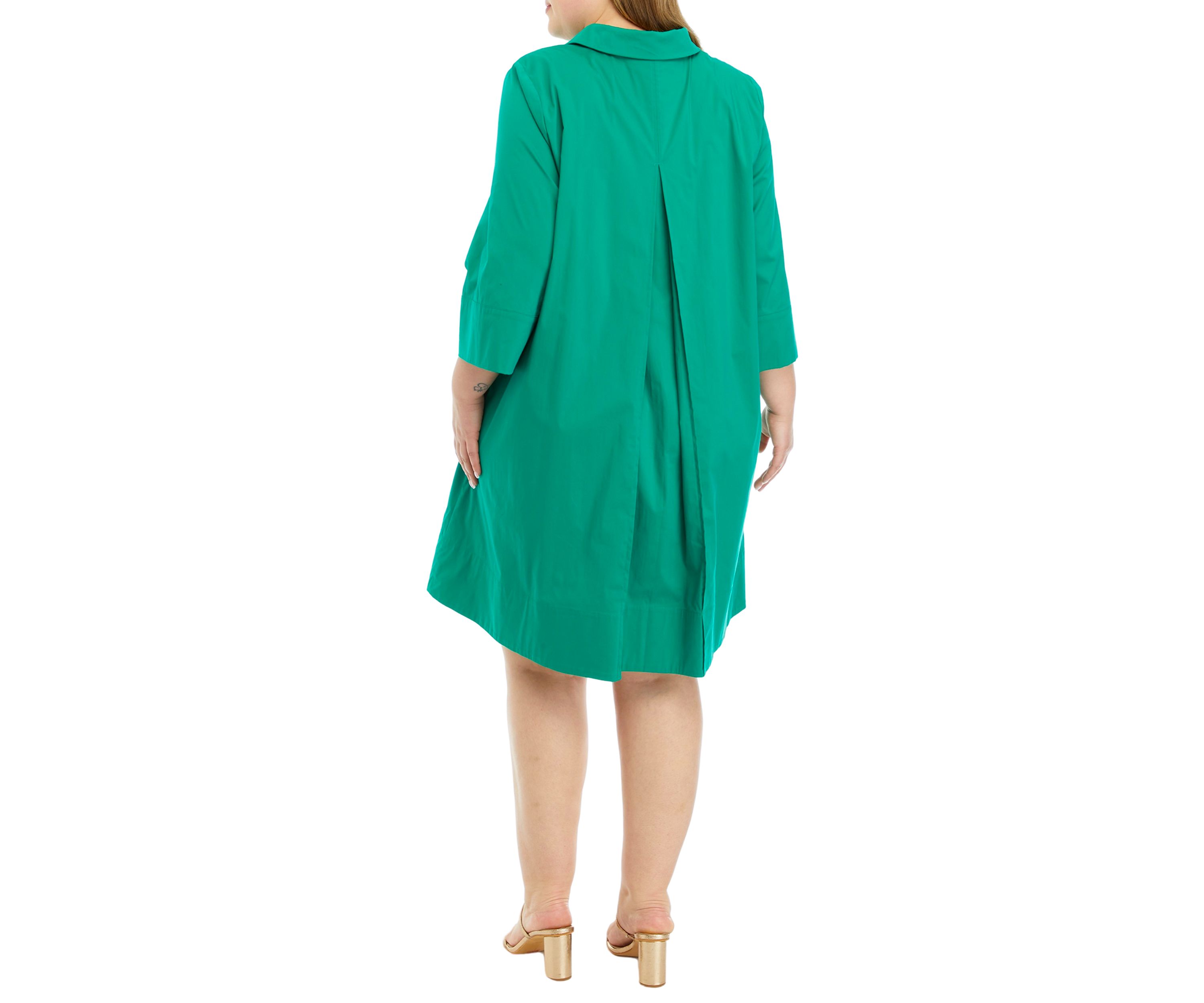 Plus Size A-Line Kaftan Collar Dress