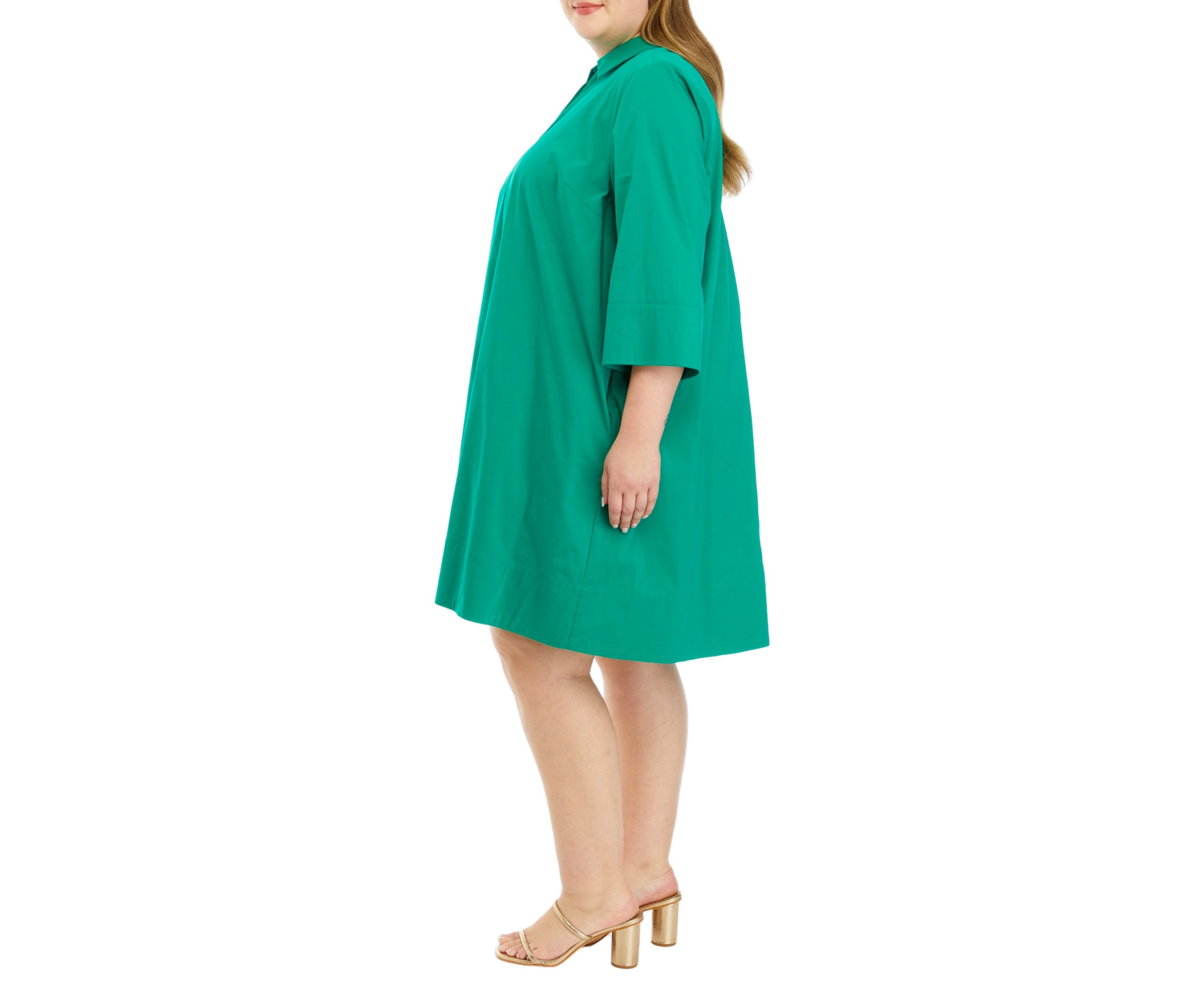 Plus Size A-Line Kaftan Collar Dress