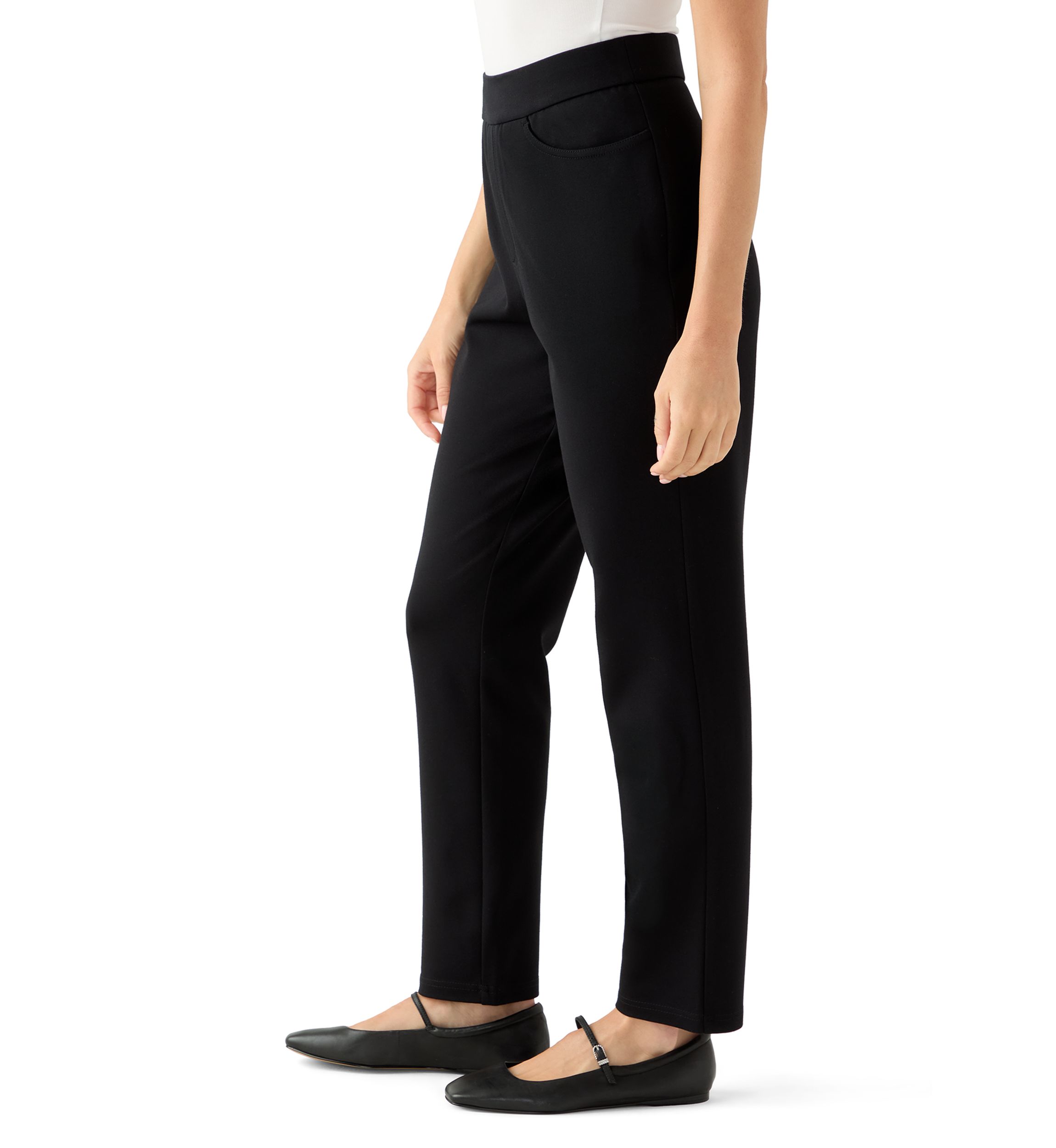 Petite Pull On Ponte Pants