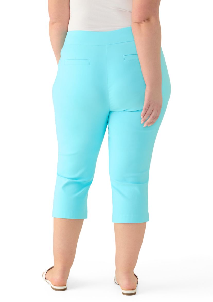 Kim Rogers® Plus Size Millennium Capri | Belk