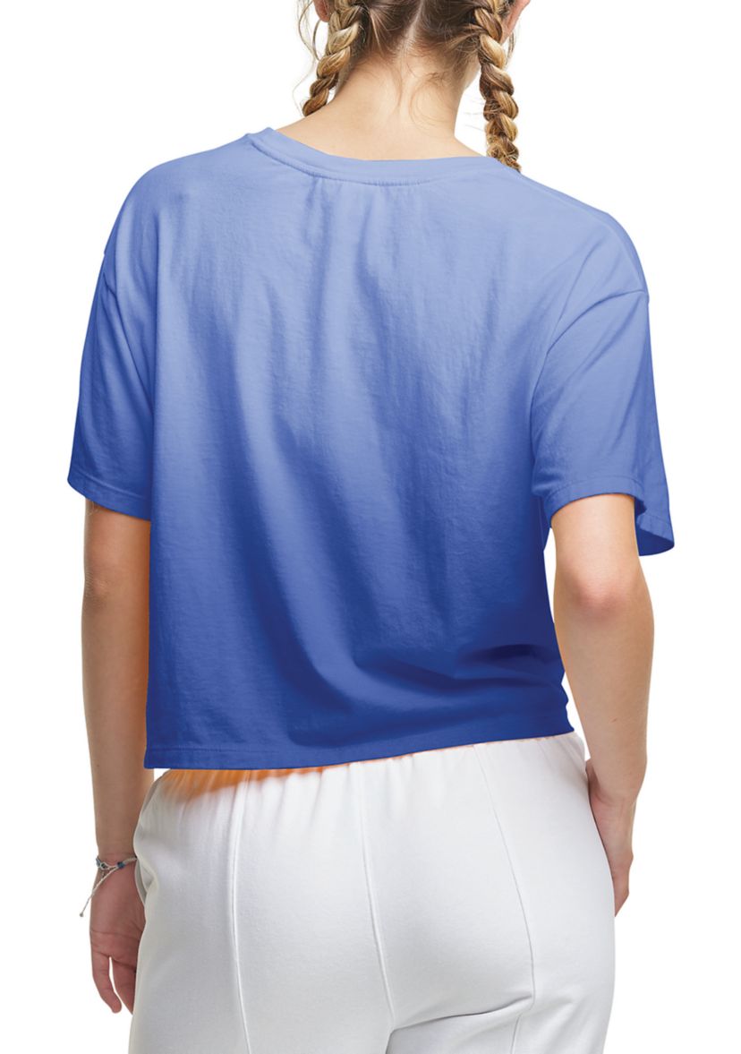 The Cropped Ombré T-Shirt