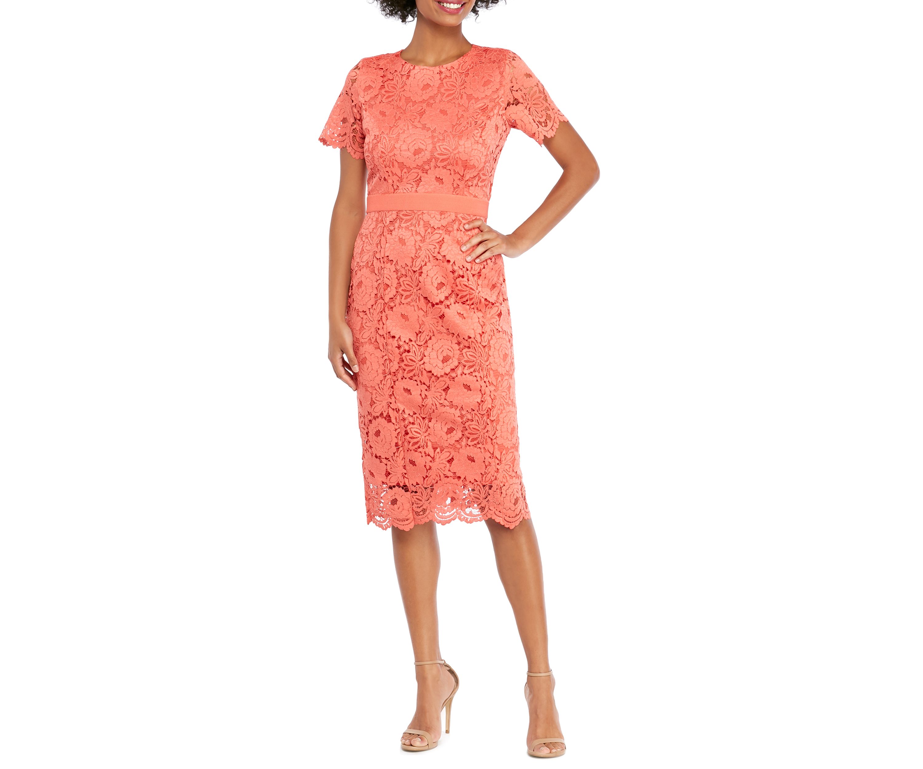 Short Sleeve Lace Scallop Edge Sheath Dress