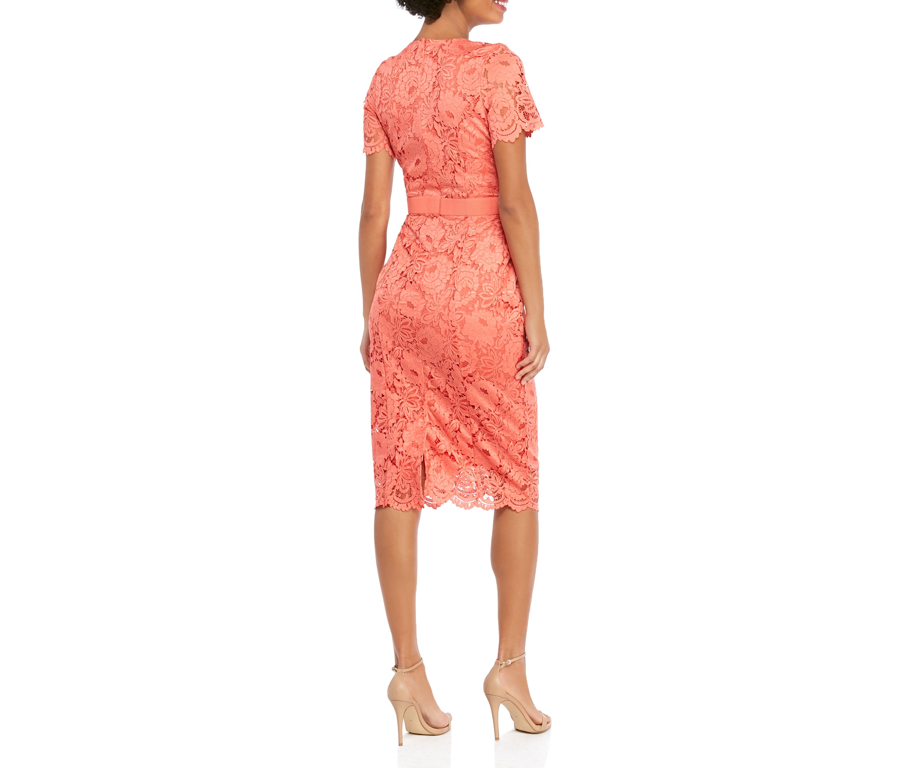 Short Sleeve Lace Scallop Edge Sheath Dress