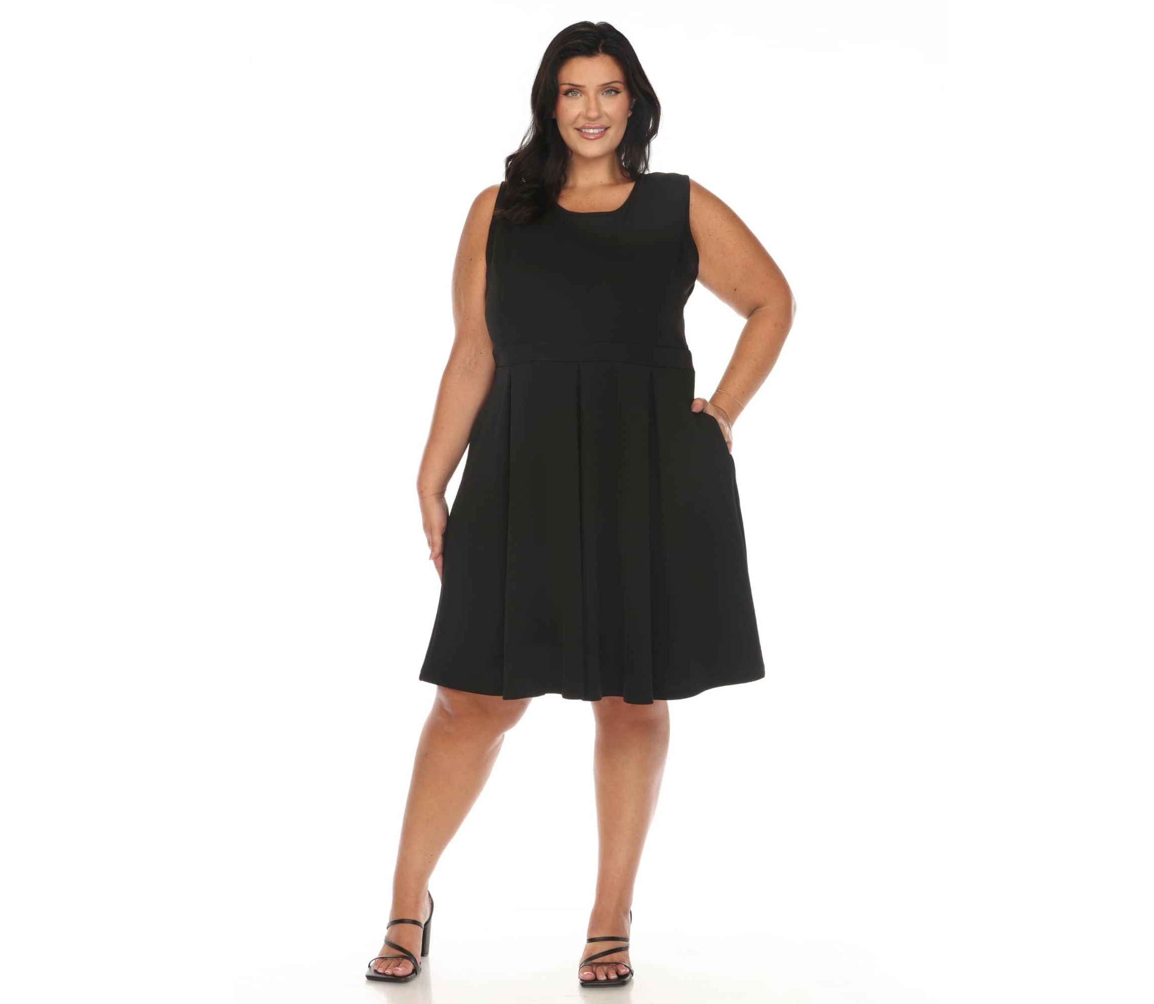 Plus Size Solid Fit and Flare Dress