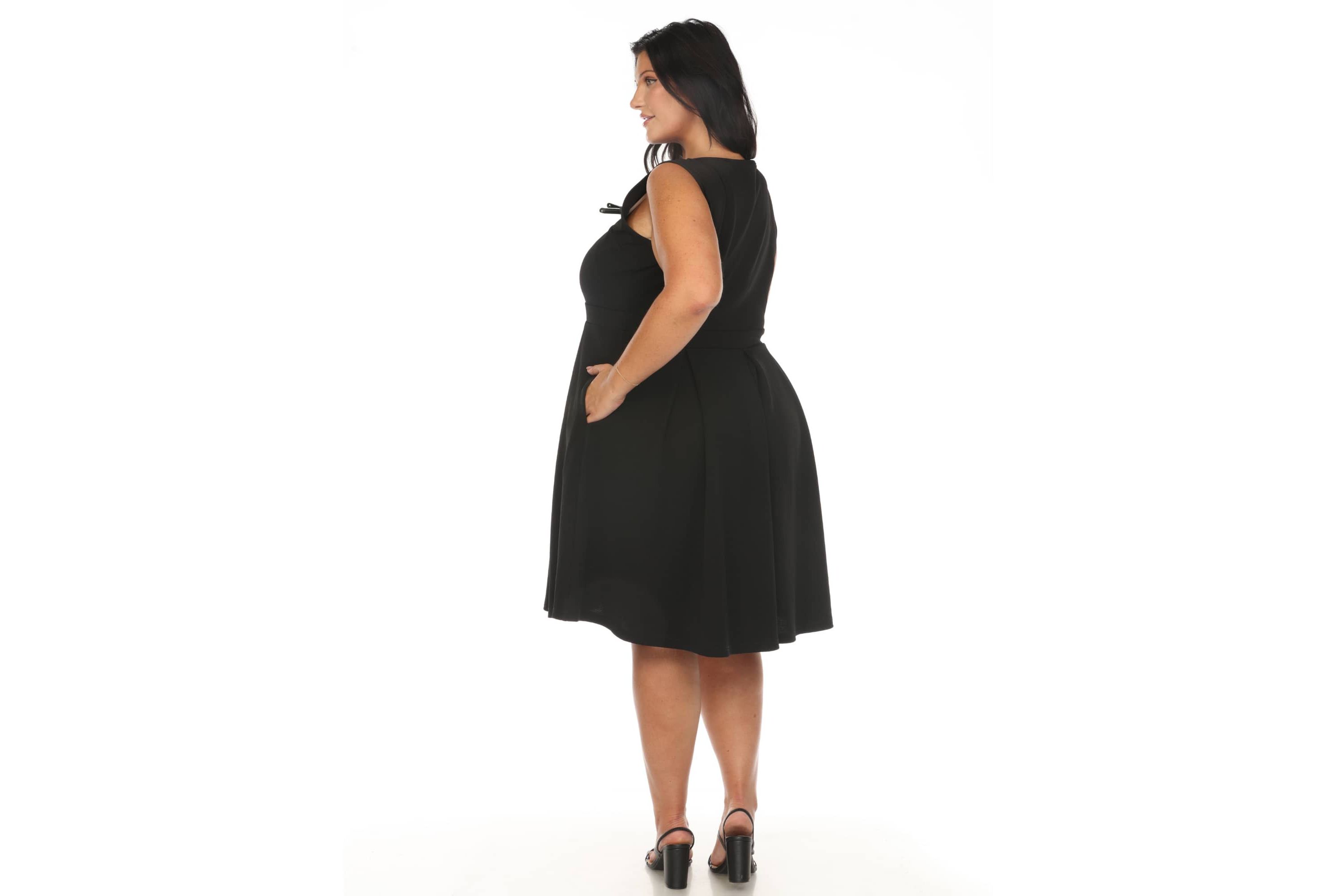 Plus Size Solid Fit and Flare Dress