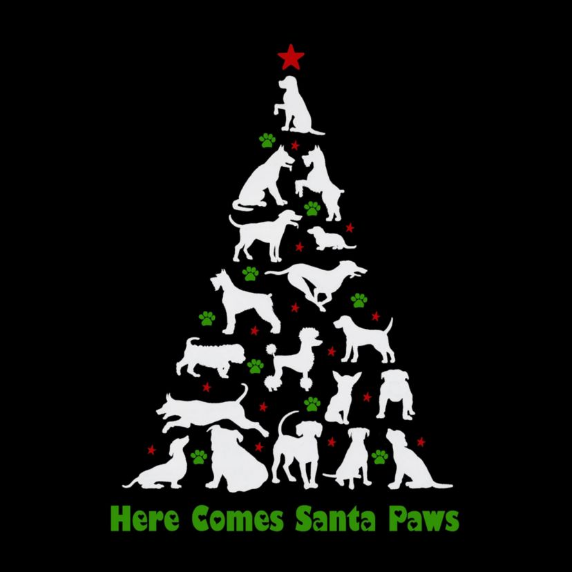 Here Comes Santa Paws - Womens Word Art Long Sleeve T-Shirt