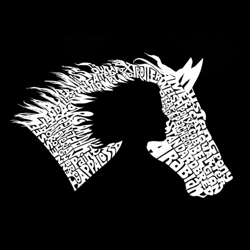 Girl Horse - Womens Premium Word Art Flowy Tank Top