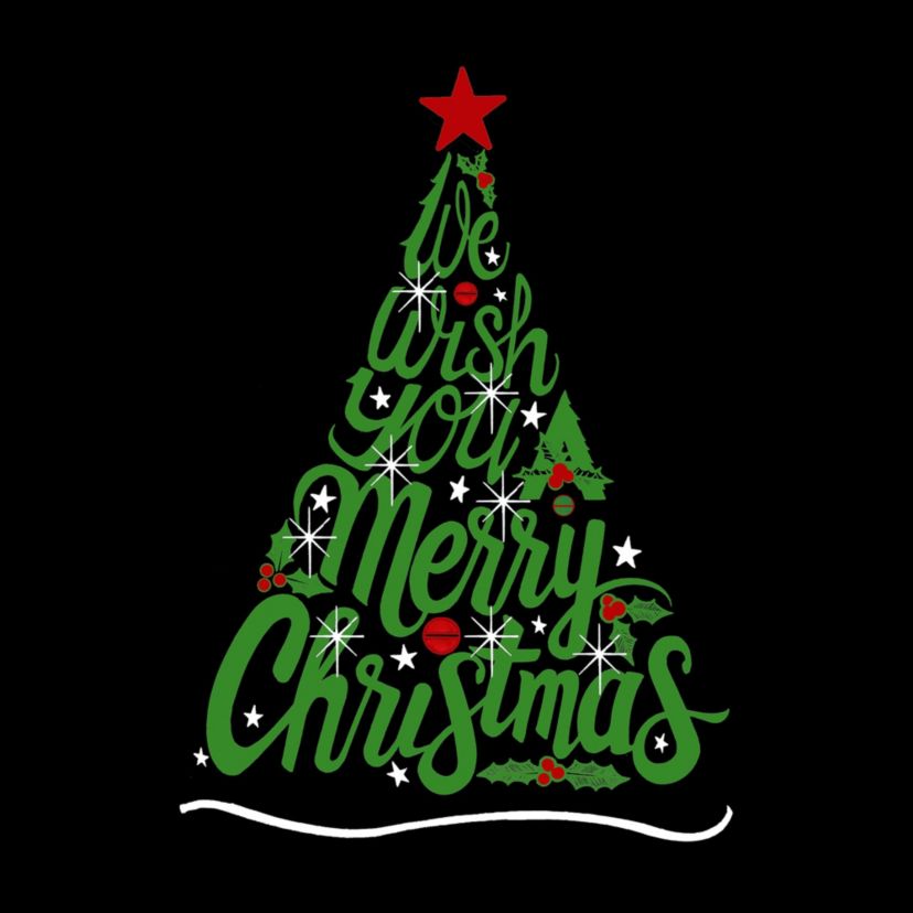 We Wish You A Merry Christmas - Womens Plus Size Word Art V-Neck