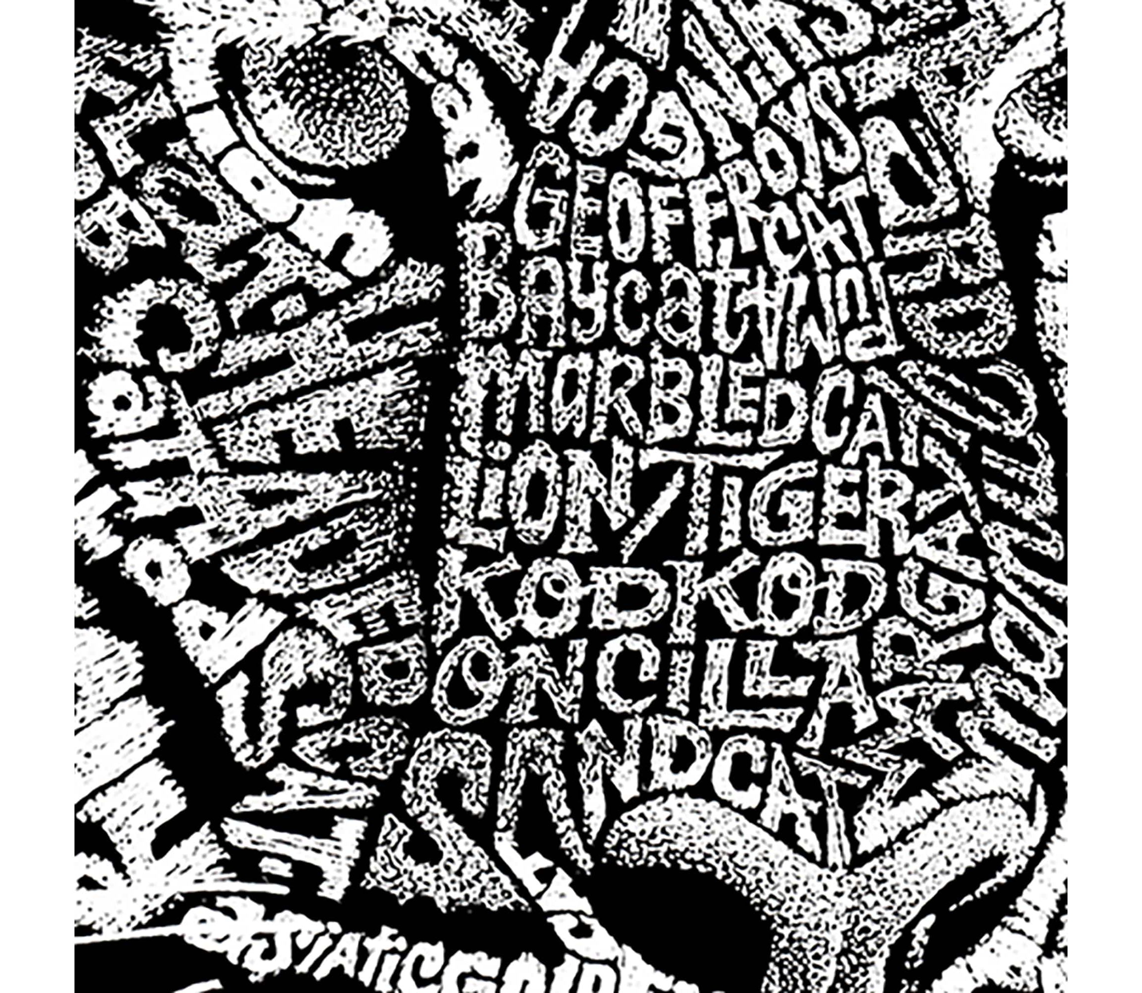 Womens Plus Size Word Art V-Neck - Big Cats