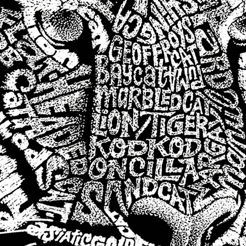 Womens Plus Size Word Art V-Neck - Big Cats