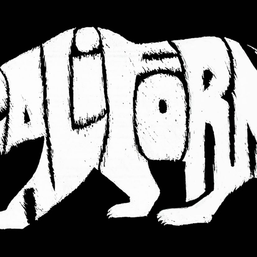 Womens Plus Size Word Art T-shirt - California Bear