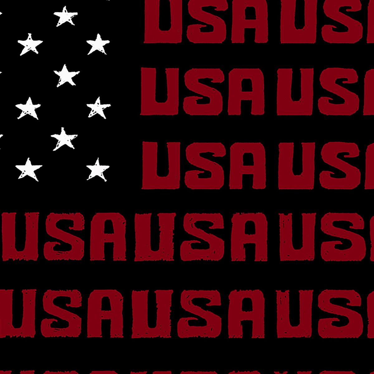 Womens Plus Size Word Art V-Neck - USA Flag