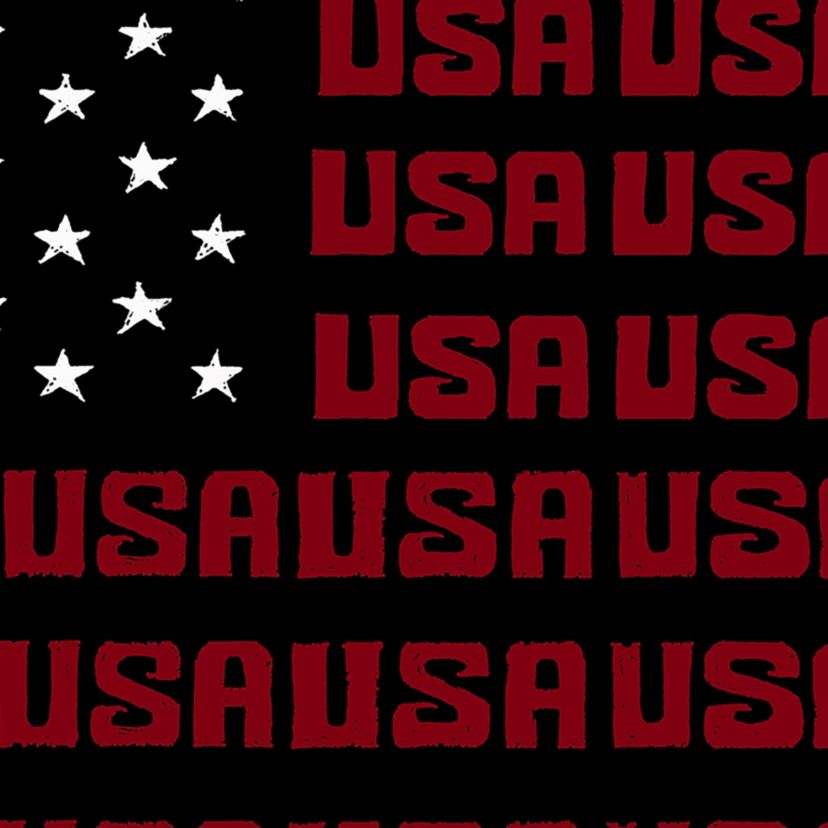 Womens Plus Size Word Art V-Neck - USA Flag