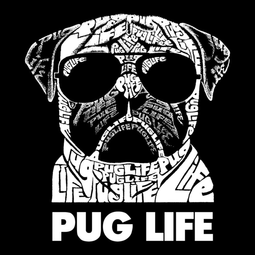 Womens Plus Size Word Art V-Neck - Pug Life