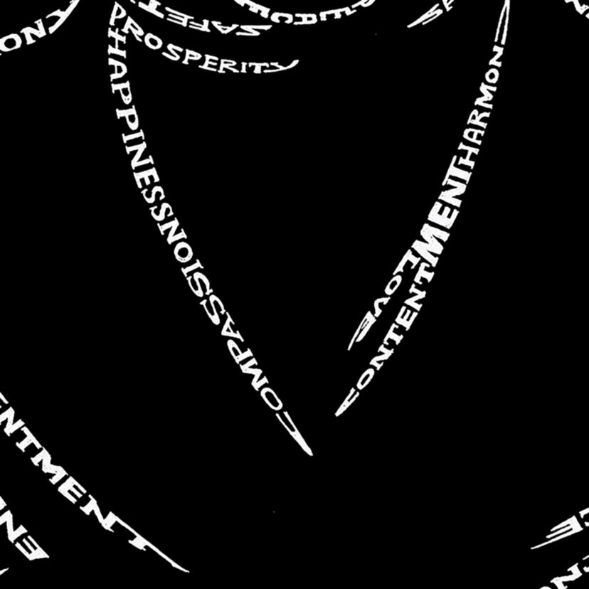 Womens Plus Size Word Art T-shirt - POSITIVE WISHES