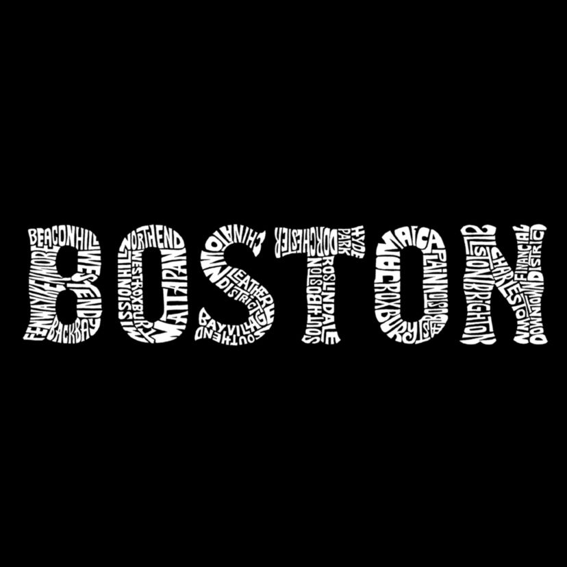 Womens Plus Size Word Art V-Neck - BOSTON NEIGHBORHOODS