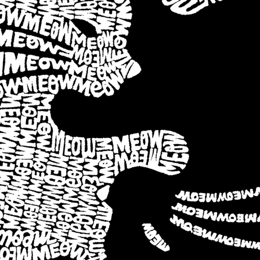 Womens Plus Size Word Art V-Neck - Yin Yang Cat