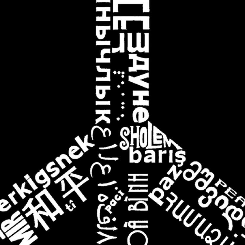 Womens Plus Size Word Art V-Neck - THE WORD PEACE IN 77 LANGUAGES