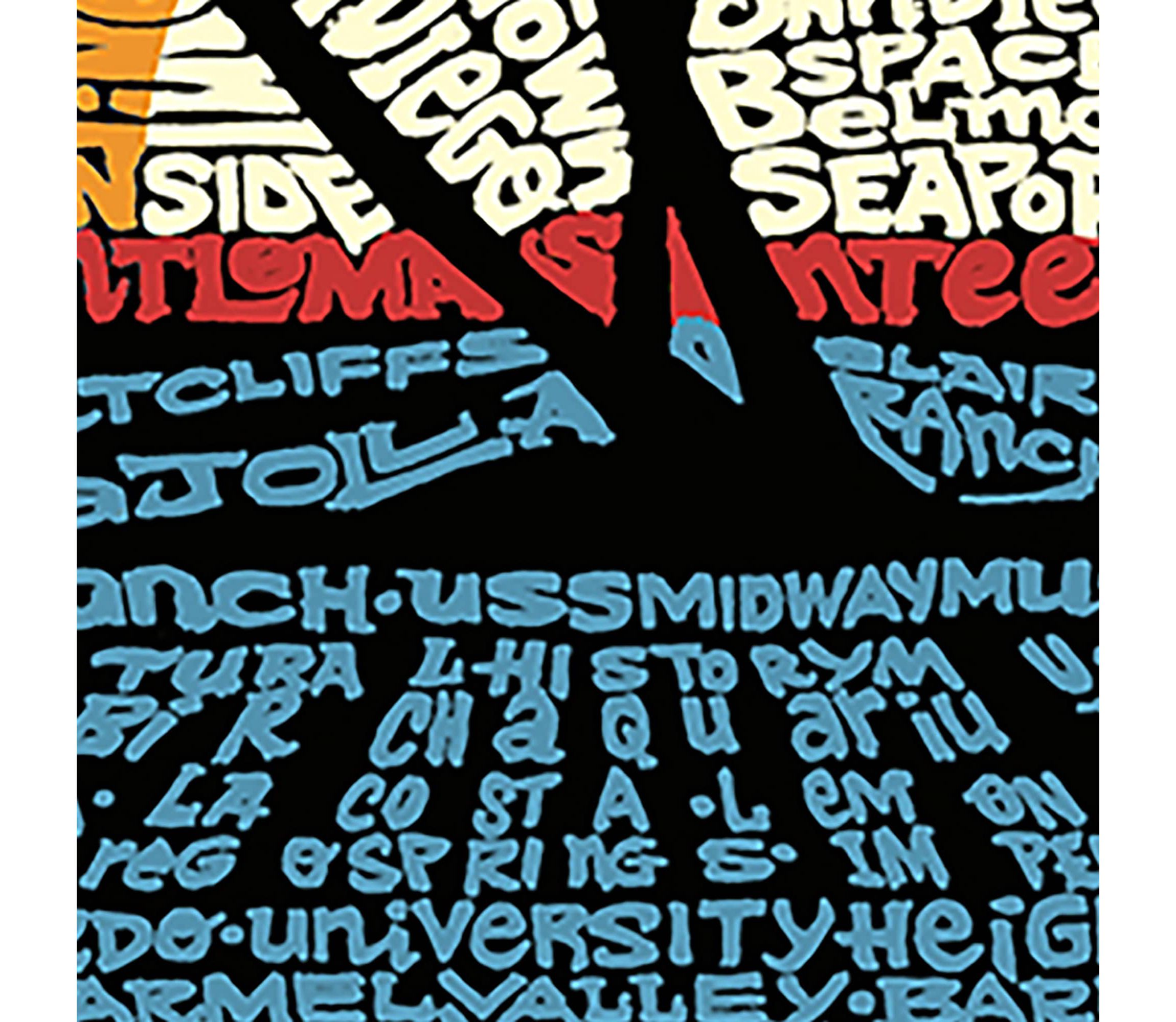 Womens Plus Size Word Art V-Neck - Cities In San Diego