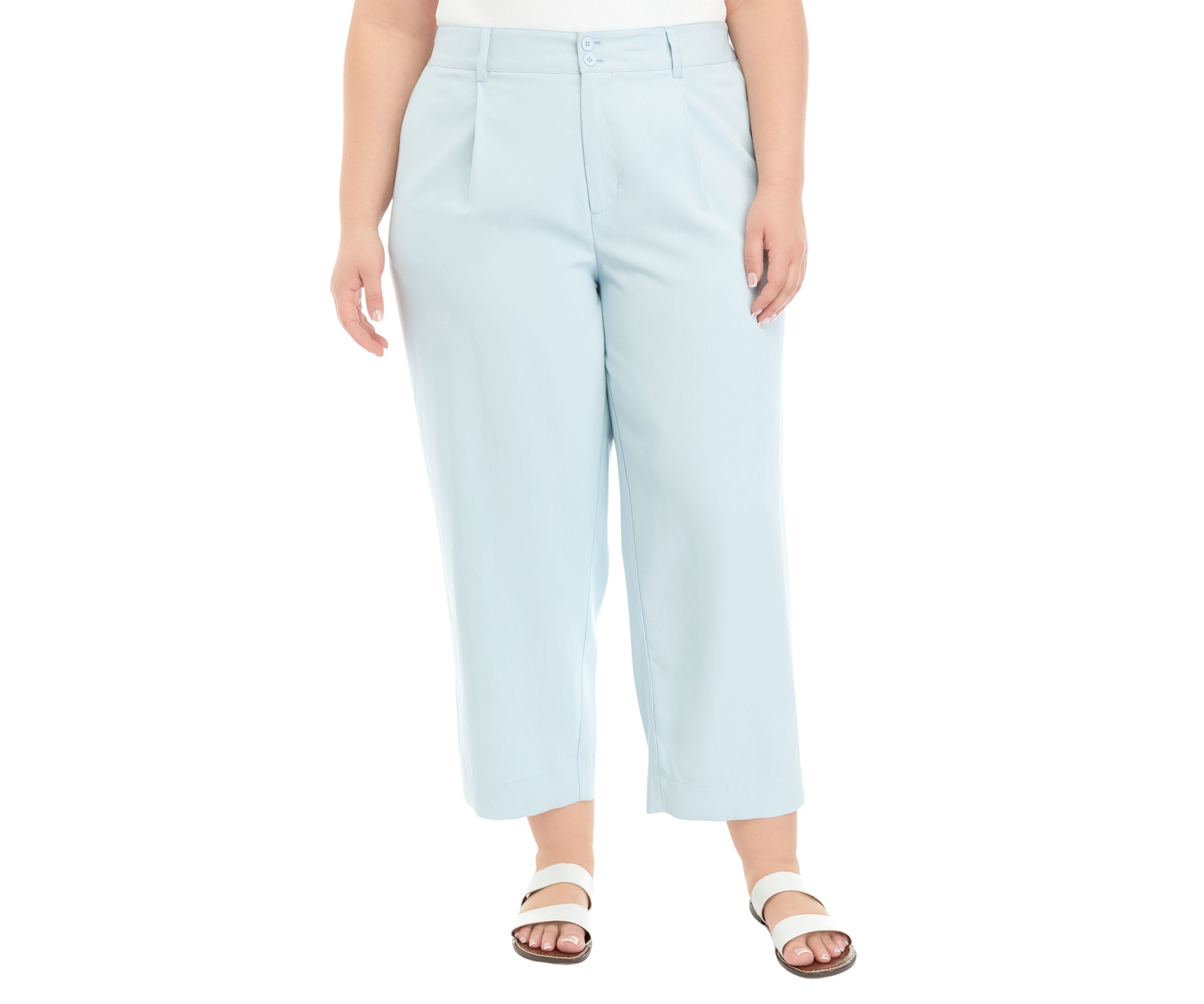 Plus Size High Rise Pleated Pants