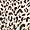 Ivory Leopard