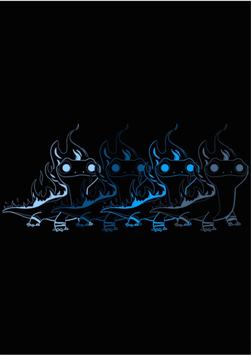 Salamander Pullover Graphic T-Shirt