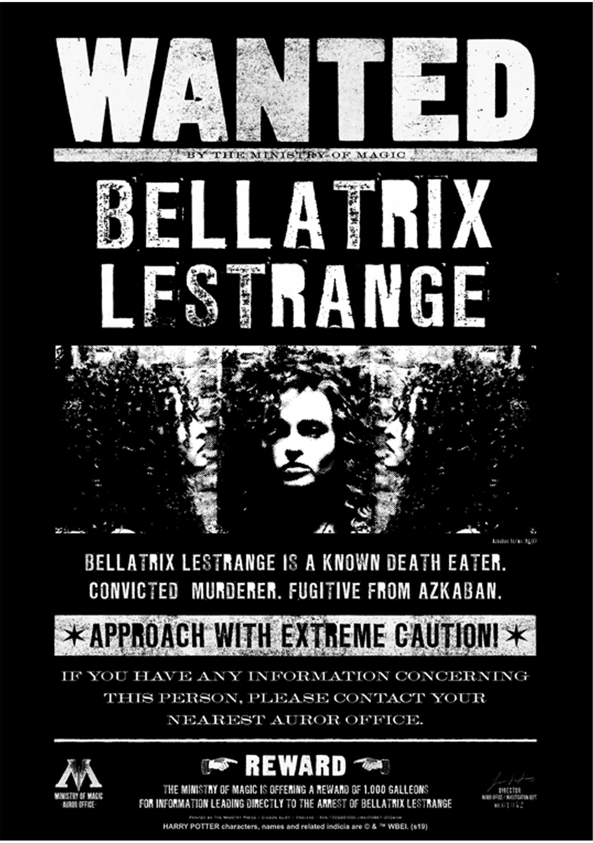Bellatrix Newspaper Graphic T-Shirt