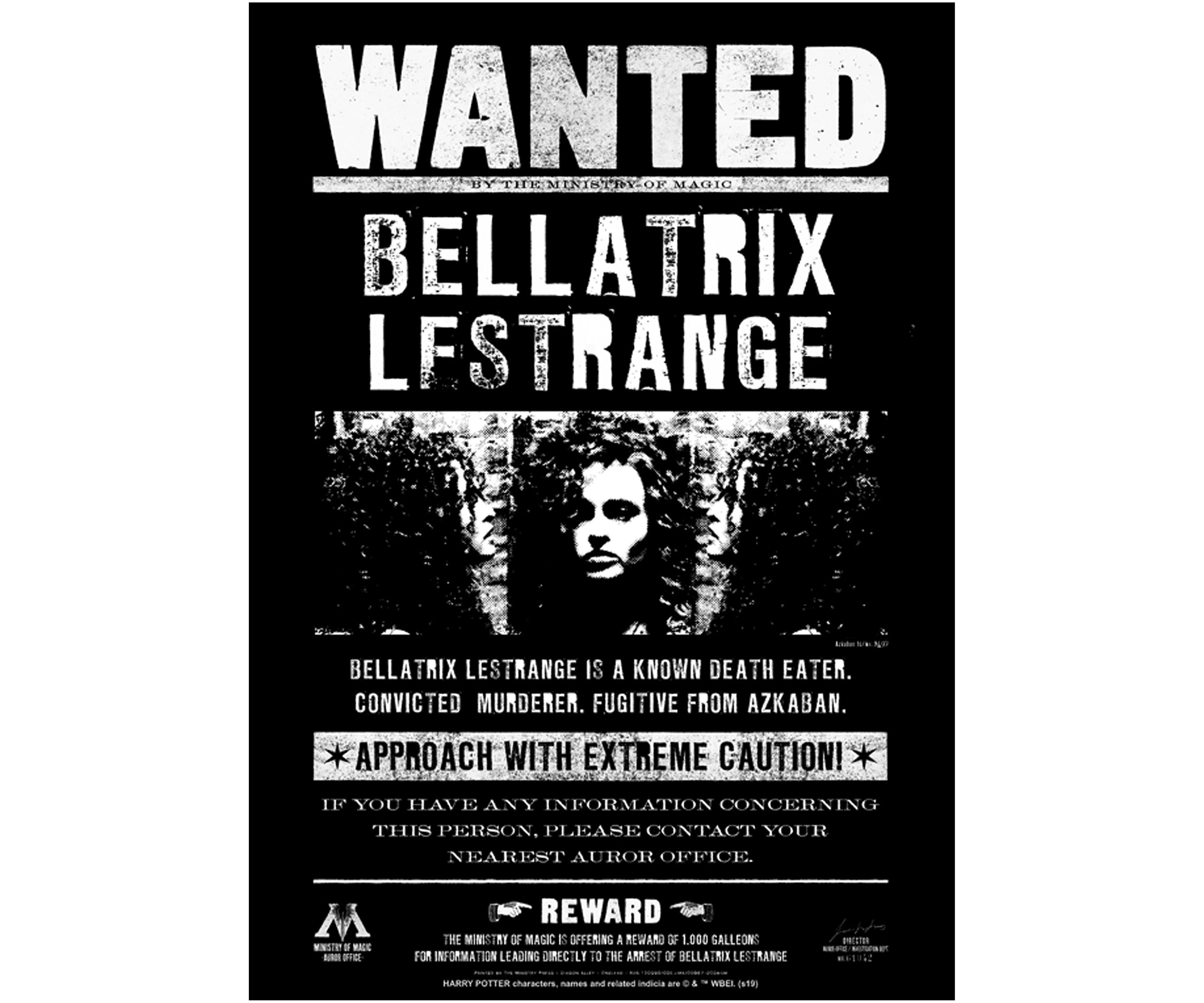 Bellatrix Newspaper Graphic T-Shirt
