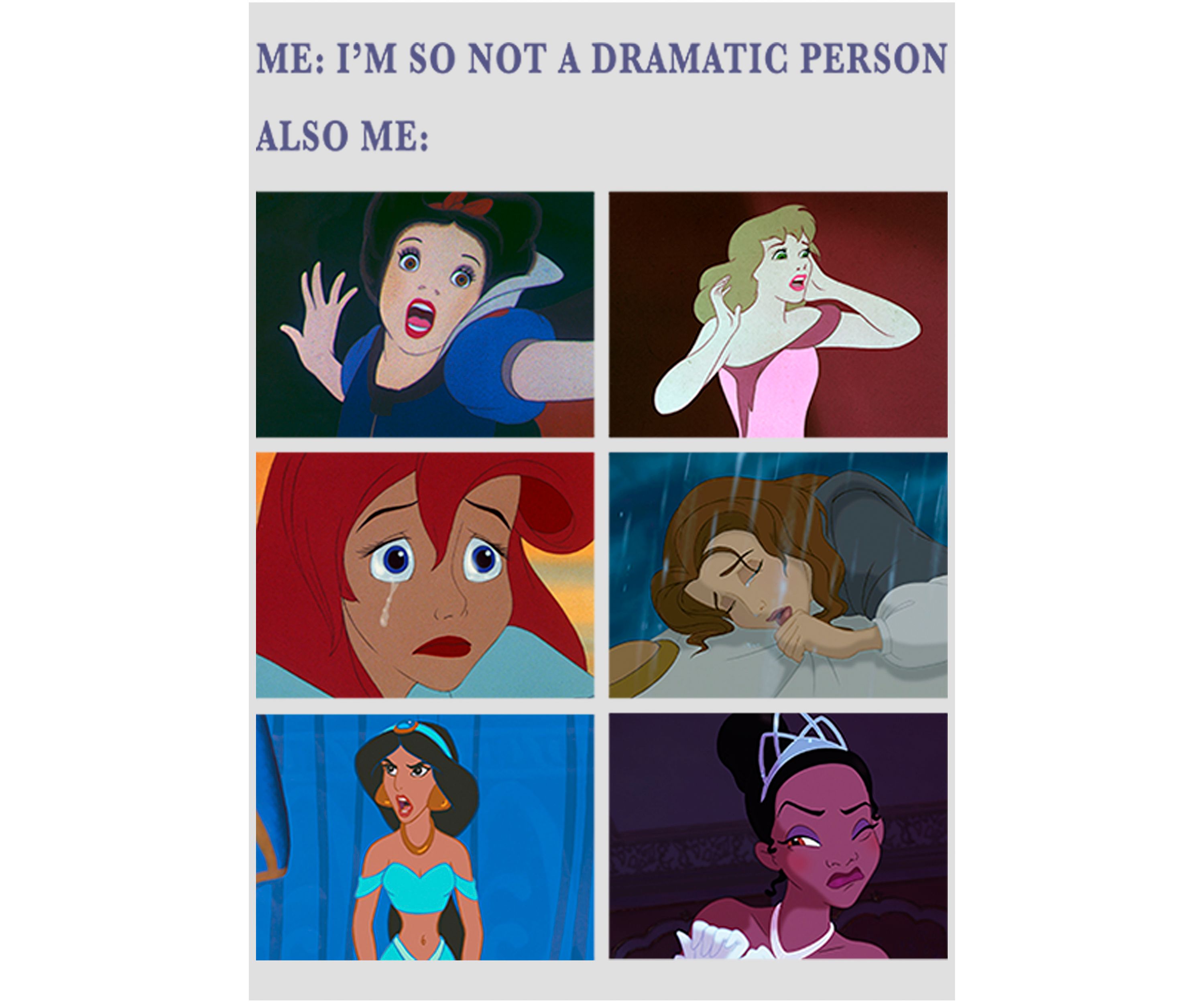 Princess Drama Meme